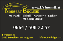 Logo Bromnik